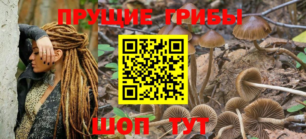Назарово  Галлюциногенные грибы GOLDEN TEACHER  Вход с VPN  Галлюциногенные грибы Psilocybe 