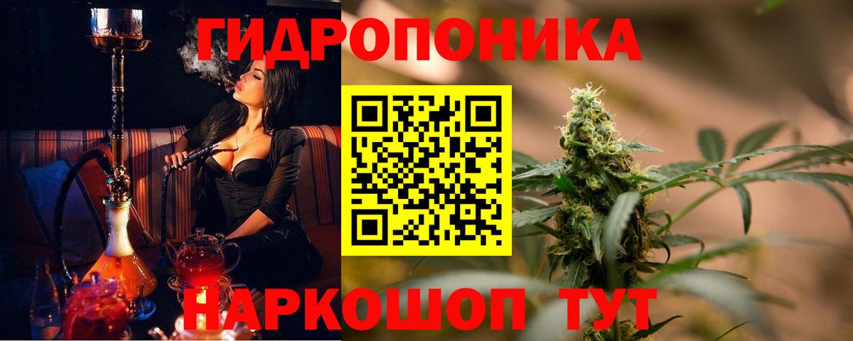 Шишки марихуана гибрид Назарово